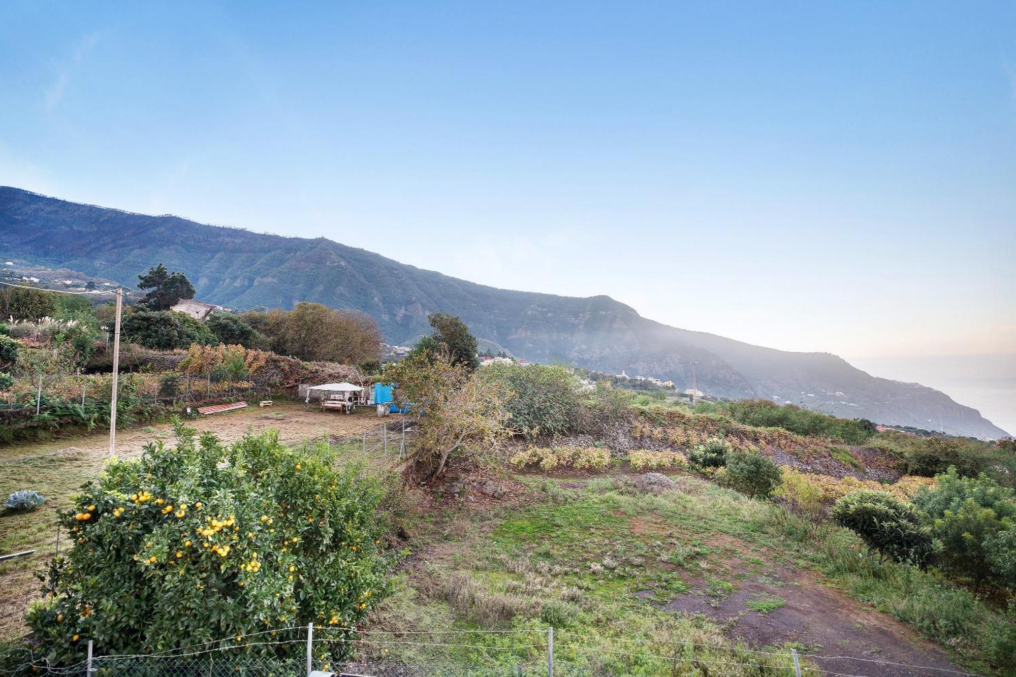 Casita Rural La Pinera Villa Los Realejos Ngoại thất bức ảnh